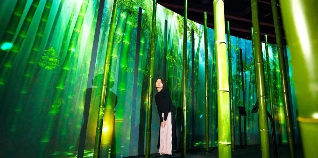 沉浸式的櫻花展覽策劃驚艷了廣大游客的目光，光影互動(dòng)太厲害了！